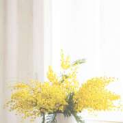 ヒメ日記 2025/04/14 13:16 投稿 小倉（おぐら） Exe～エグゼ～