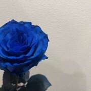 ヒメ日記 2025/04/26 15:03 投稿 小倉（おぐら） Exe～エグゼ～