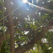 ヒメ日記 2025/04/30 14:36 投稿 小倉（おぐら） Exe～エグゼ～