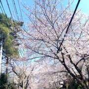 ヒメ日記 2026/03/29 16:15 投稿 いちご 池袋本気AF専門店AF革命絶頂アクメ