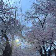 ヒメ日記 2026/04/01 23:50 投稿 いちご 池袋本気AF専門店AF革命絶頂アクメ