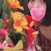 ヒメ日記 2025/08/06 19:51 投稿 さく E+アイドルスクール新宿・歌舞伎町店