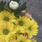 ヒメ日記 2025/08/23 18:50 投稿 みほ かりんと神田