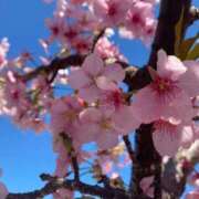 ともえ すみません? 錦糸町人妻ヒットパレード（シンデレラグループ）