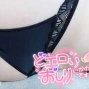 ヒメ日記 2025/03/19 12:02 投稿 ねいろ ちゃんこ大阪十三