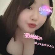 ヒメ日記 2025/09/11 03:05 投稿 ねいろ ちゃんこ大阪十三