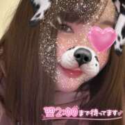 ヒメ日記 2025/12/20 09:31 投稿 ねいろ ちゃんこ大阪十三