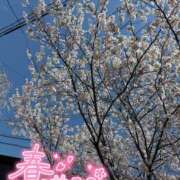 ヒメ日記 2026/04/08 23:48 投稿 ねいろ ちゃんこ大阪十三