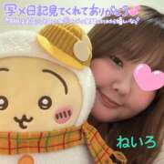 ヒメ日記 2026/04/12 10:32 投稿 ねいろ ちゃんこ大阪十三