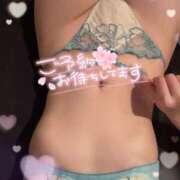 ヒメ日記 2025/03/10 10:34 投稿 ねいろ ホワイトハウス