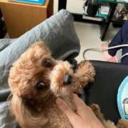 ヒメ日記 2025/08/06 19:07 投稿 神谷美幸(みゆき) 東京不倫 渋谷店