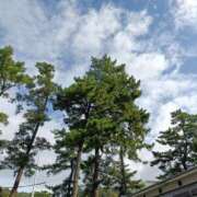 ヒメ日記 2025/09/29 09:05 投稿 さち ギン妻パラダイス 十三店