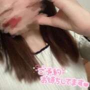 ヒメ日記 2025/05/04 08:09 投稿 レン ロボットデリヘル日本橋基地