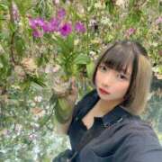 ヒメ日記 2025/08/08 07:43 投稿 のん One More 奥様　五反田店