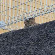 ヒメ日記 2025/07/11 08:19 投稿 みれい 山口周南ちゃんこ