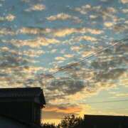 ヒメ日記 2025/10/31 23:35 投稿 みれい 山口周南ちゃんこ