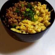 ヒメ日記 2025/12/03 23:42 投稿 みれい 山口周南ちゃんこ