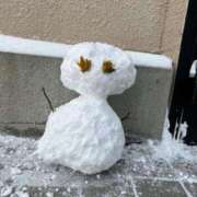 ヒメ日記 2025/12/26 07:52 投稿 みれい 山口周南ちゃんこ