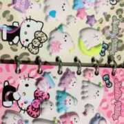 ヒメ日記 2026/01/27 17:29 投稿 みれい 山口周南ちゃんこ