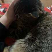 ヒメ日記 2026/03/22 16:22 投稿 みれい 山口周南ちゃんこ