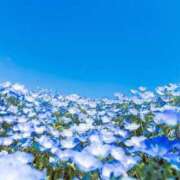 ヒメ日記 2025/05/02 11:46 投稿 梨乃 佐世保デリヘル　VERY（ヴェリィ）