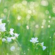 ヒメ日記 2025/10/23 09:45 投稿 梨乃 佐世保デリヘル　VERY（ヴェリィ）