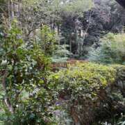 ヒメ日記 2025/10/24 02:42 投稿 梨乃 佐世保デリヘル　VERY（ヴェリィ）