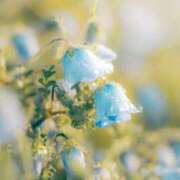 ヒメ日記 2025/10/25 18:00 投稿 梨乃 佐世保デリヘル　VERY（ヴェリィ）