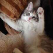 ヒメ日記 2025/03/07 11:55 投稿 小川ちい 松戸人妻花壇