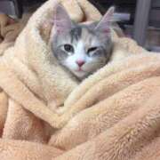 ヒメ日記 2025/03/21 02:06 投稿 小川ちい 松戸人妻花壇