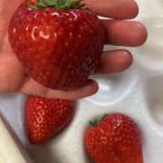 ヒメ日記 2025/04/12 16:24 投稿 小川ちい 松戸人妻花壇