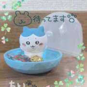 ヒメ日記 2025/04/23 12:01 投稿 小川ちい 松戸人妻花壇