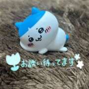 ヒメ日記 2025/07/13 17:02 投稿 小川ちい 松戸人妻花壇