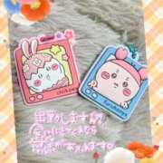 ヒメ日記 2025/07/19 10:31 投稿 小川ちい 松戸人妻花壇