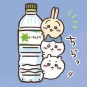 ヒメ日記 2025/09/02 08:01 投稿 小川ちい 松戸人妻花壇