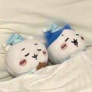 ヒメ日記 2025/09/08 00:50 投稿 小川ちい 松戸人妻花壇