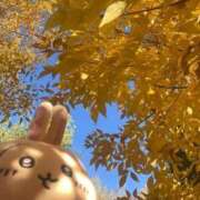 ヒメ日記 2025/11/05 10:42 投稿 小川ちい 松戸人妻花壇