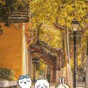 ヒメ日記 2025/11/06 09:35 投稿 小川ちい 松戸人妻花壇