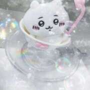 ヒメ日記 2025/11/18 07:01 投稿 小川ちい 松戸人妻花壇