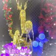 ヒメ日記 2025/12/17 20:00 投稿 小川ちい 松戸人妻花壇