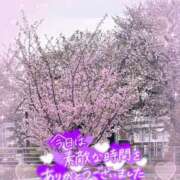 ヒメ日記 2026/04/08 01:29 投稿 小川ちい 松戸人妻花壇