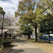 ヒメ日記 2025/04/08 16:00 投稿 ゆり 横浜ミセスアロマ（ユメオト）