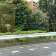 ヒメ日記 2025/06/12 16:08 投稿 ゆり 横浜ミセスアロマ（ユメオト）