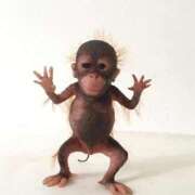 ヒメ日記 2025/03/25 12:41 投稿 めい 札幌しこたまクリニック