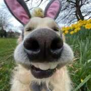 ヒメ日記 2025/04/04 12:09 投稿 めい 札幌しこたまクリニック