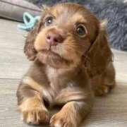 ヒメ日記 2025/04/07 16:29 投稿 めい 札幌しこたまクリニック