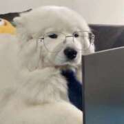 ヒメ日記 2025/04/10 18:09 投稿 めい 札幌しこたまクリニック