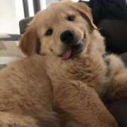 ヒメ日記 2025/04/25 10:19 投稿 めい 札幌しこたまクリニック