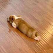 ヒメ日記 2025/04/28 11:39 投稿 めい 札幌しこたまクリニック