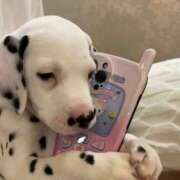 ヒメ日記 2025/05/08 10:29 投稿 めい 札幌しこたまクリニック